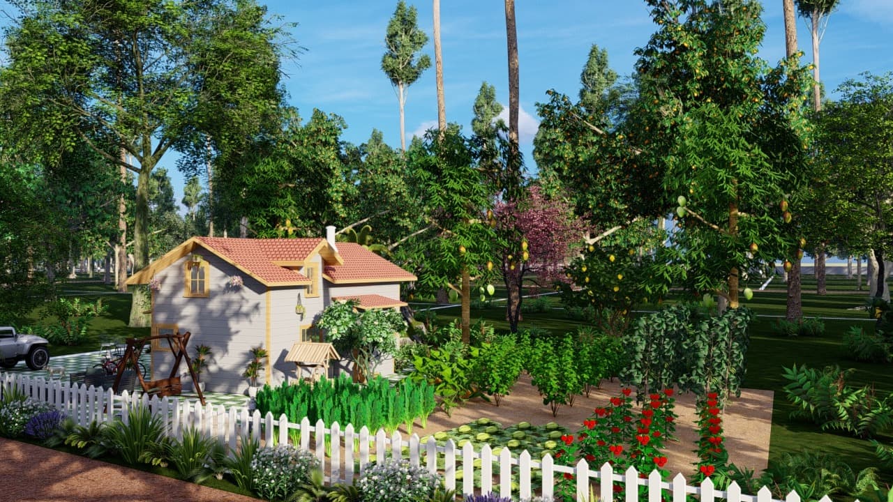 Farm-to-Table Dining